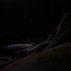 Meet your Posher, Lynn